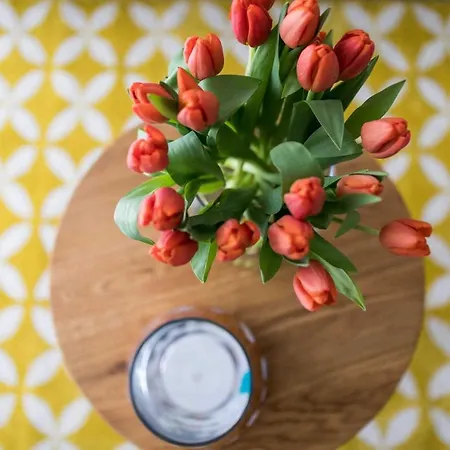 Duenenrose Appartement Norderney